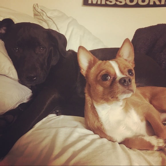 Smile- you’re shopping! Bonus “bargain hunting” - Picture 14 of 15